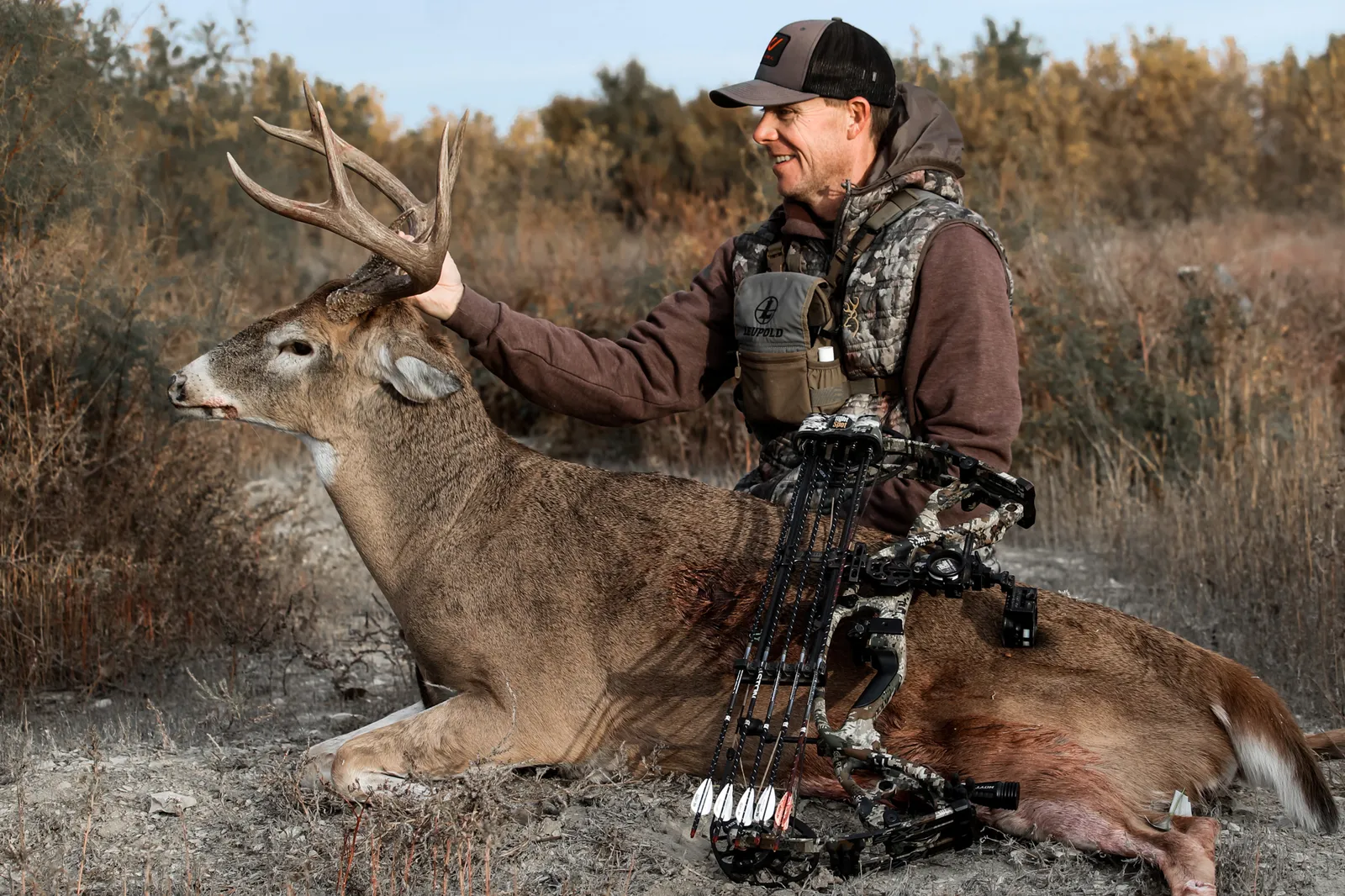 deer rut