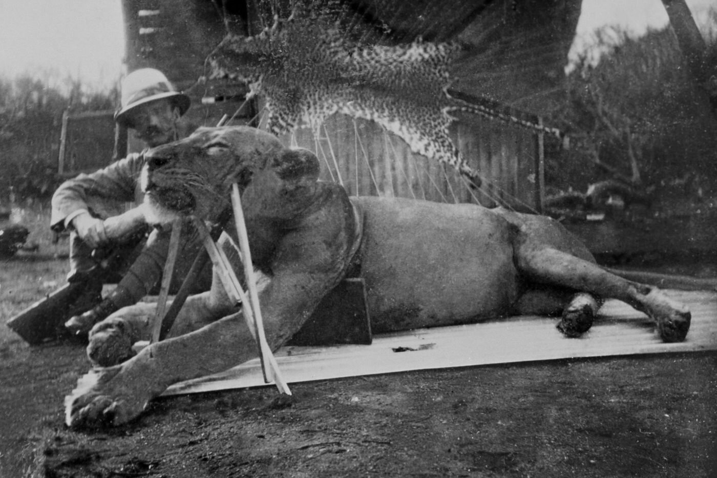 Lt. Col. Patterson man-eaters tsavo free range american