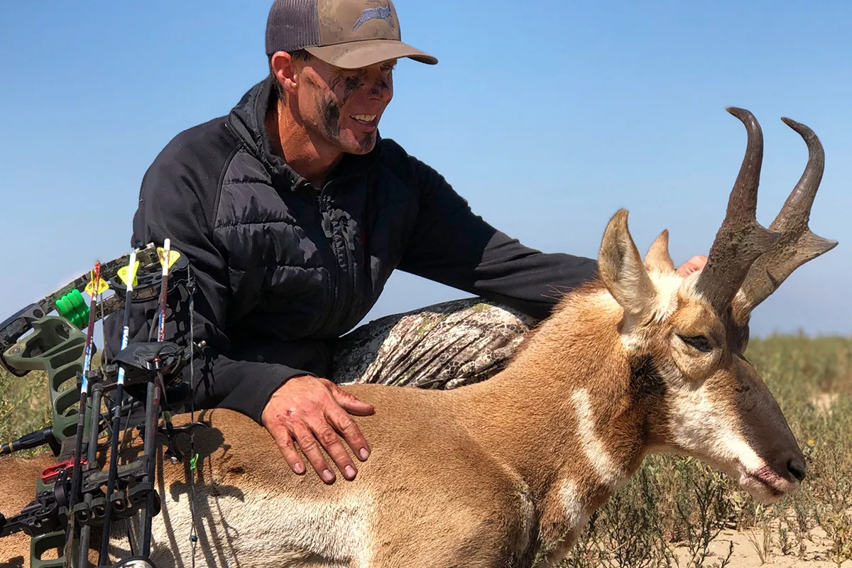 colorado p&y pronghorn antelope