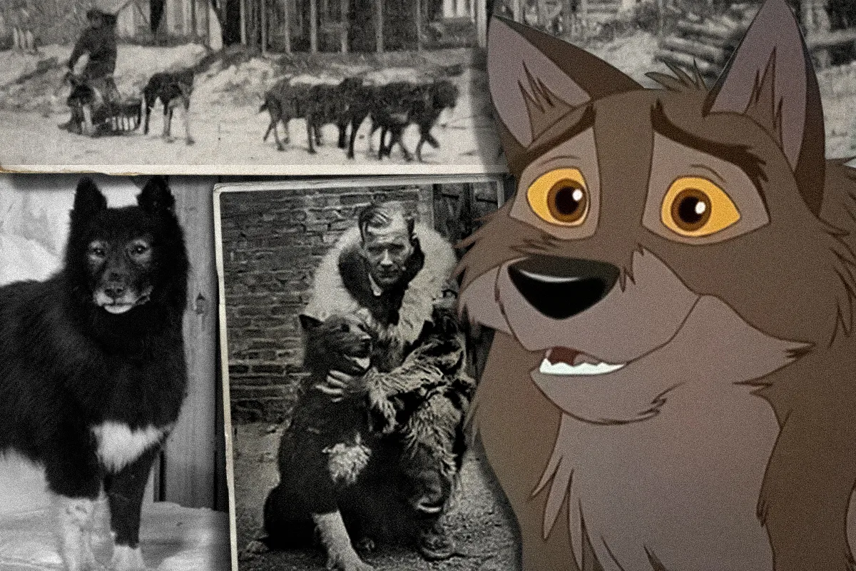 Balto the Alaskan sled dog