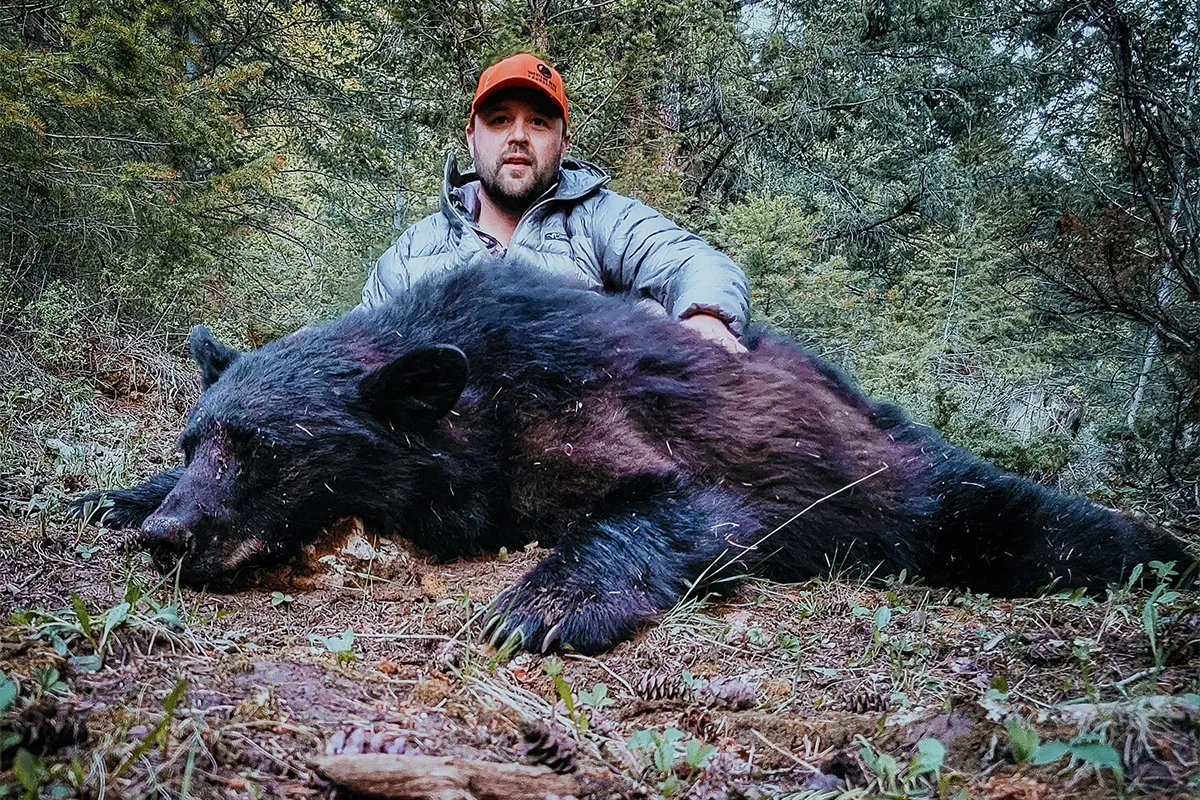 American Bear Foundation