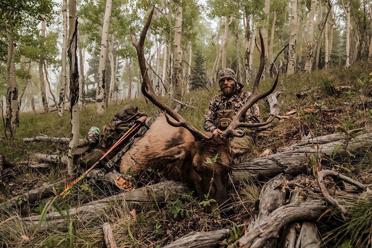 2016 bull