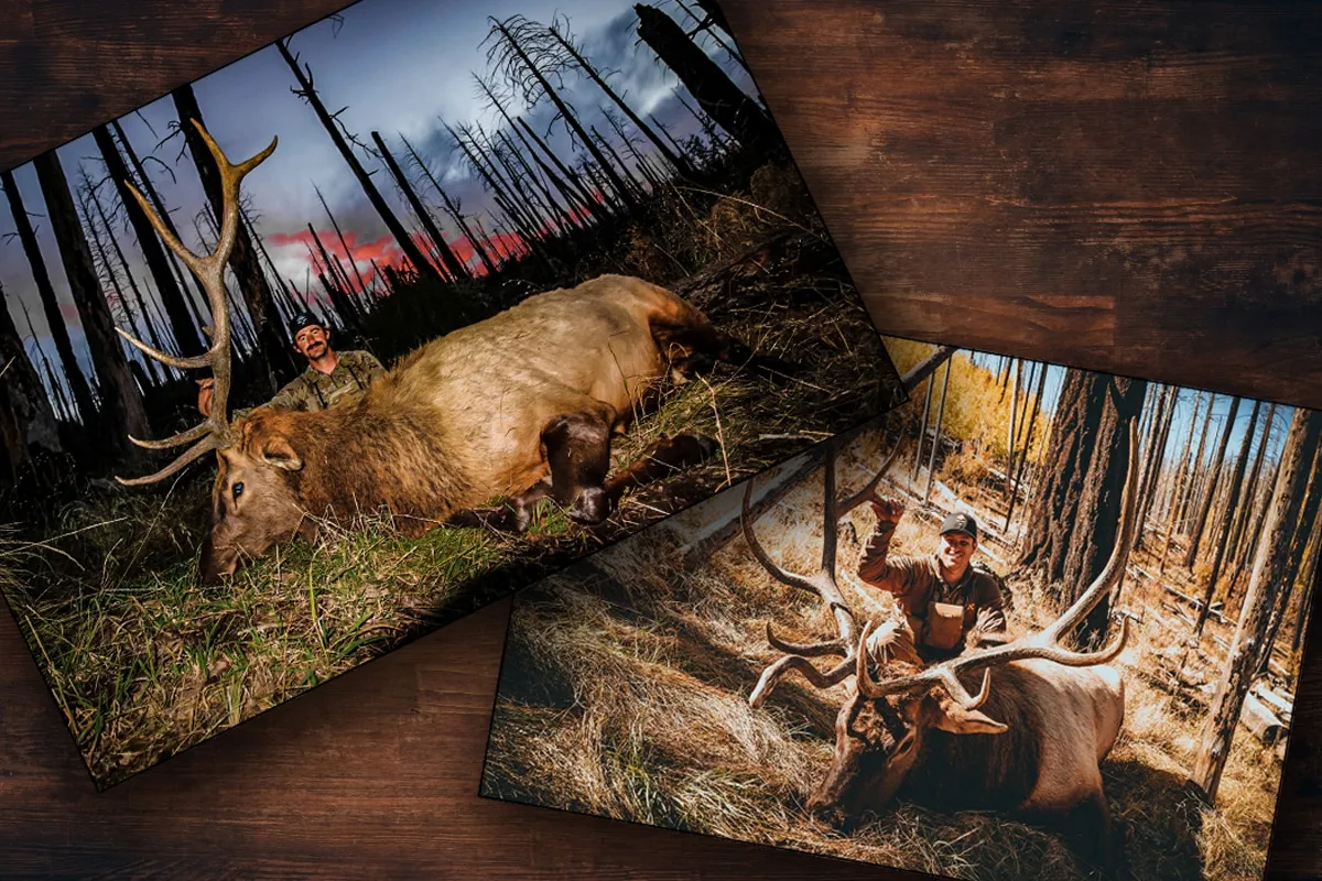 New Mexico Elk Hunting: Can 2 Buddies Kill 2 Bulls in 4 Days?