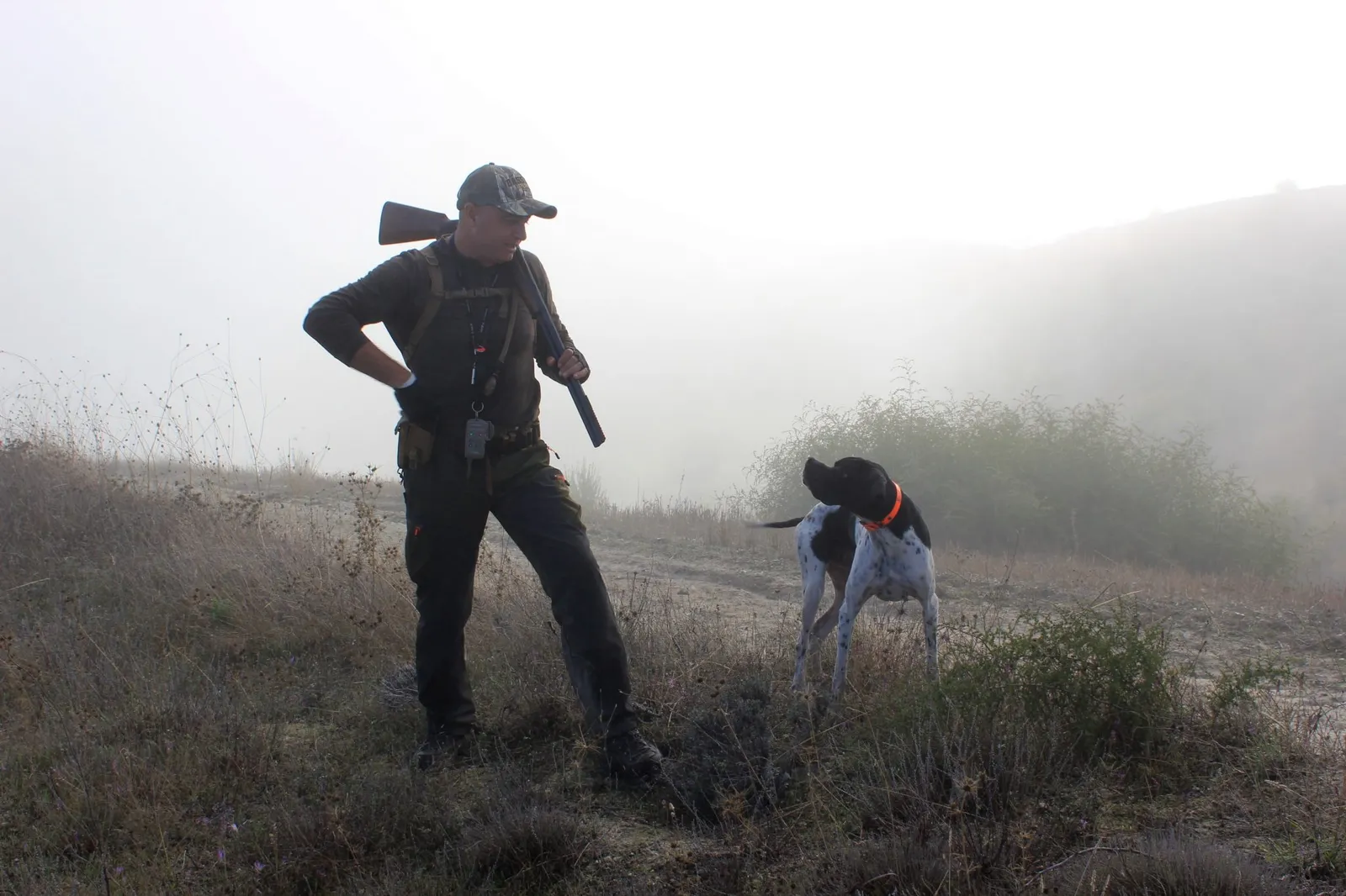 Oregon Bill Would Ban Hunting, Fishing, Trapping, and Animal Agriculture