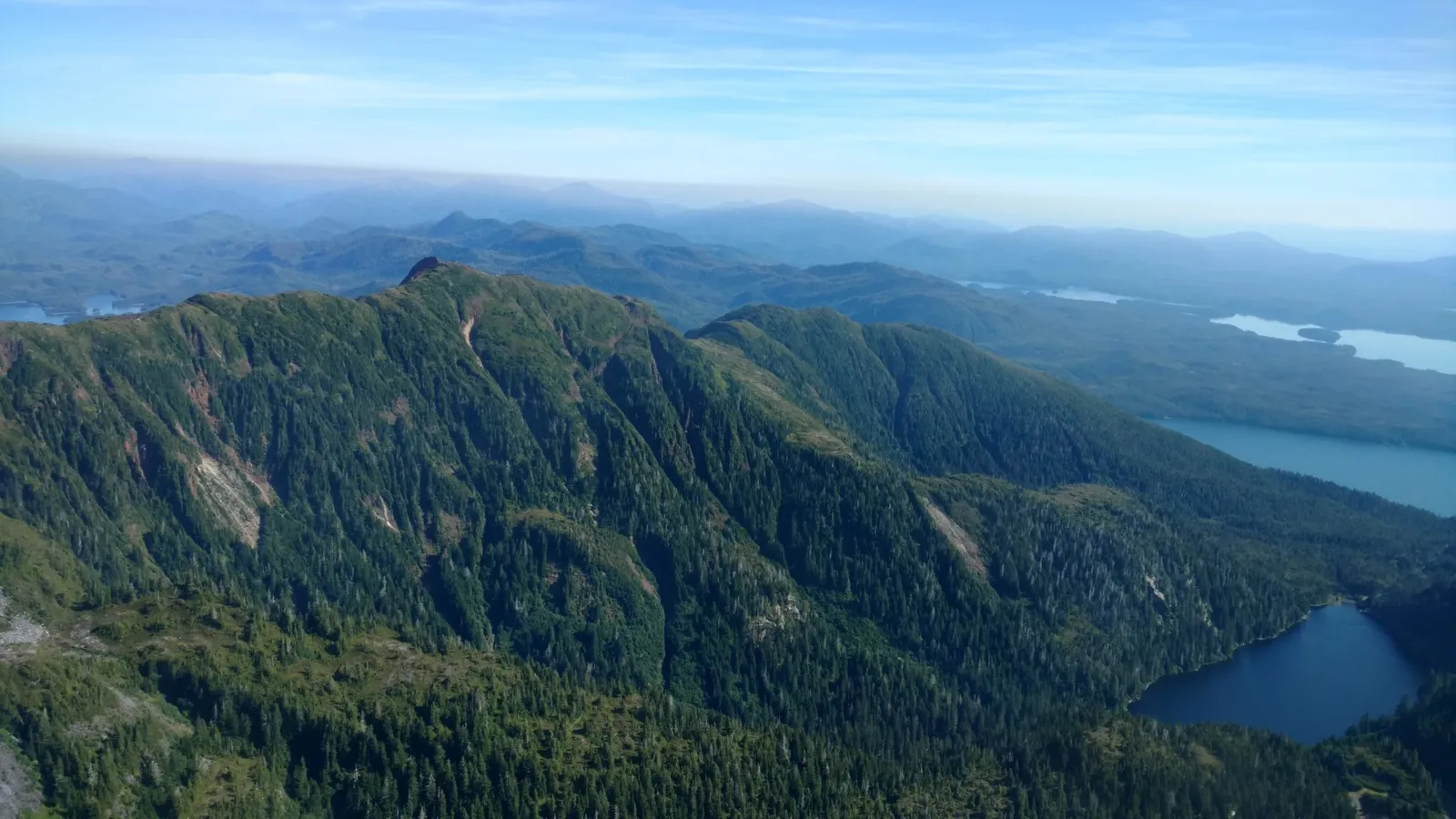 Logging in Alaska: The Complex Battle Waged Over Tongass National Forest