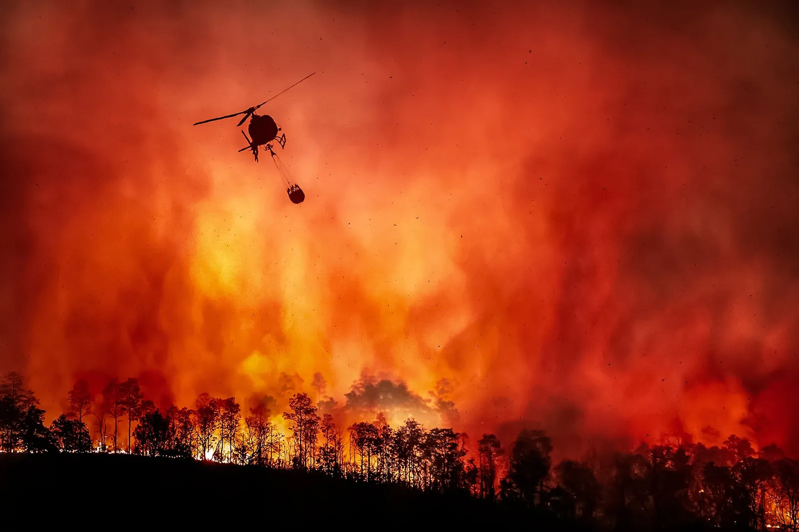 Hunting Forecast 2022: Extreme Weather Could Be Bad For Hunting