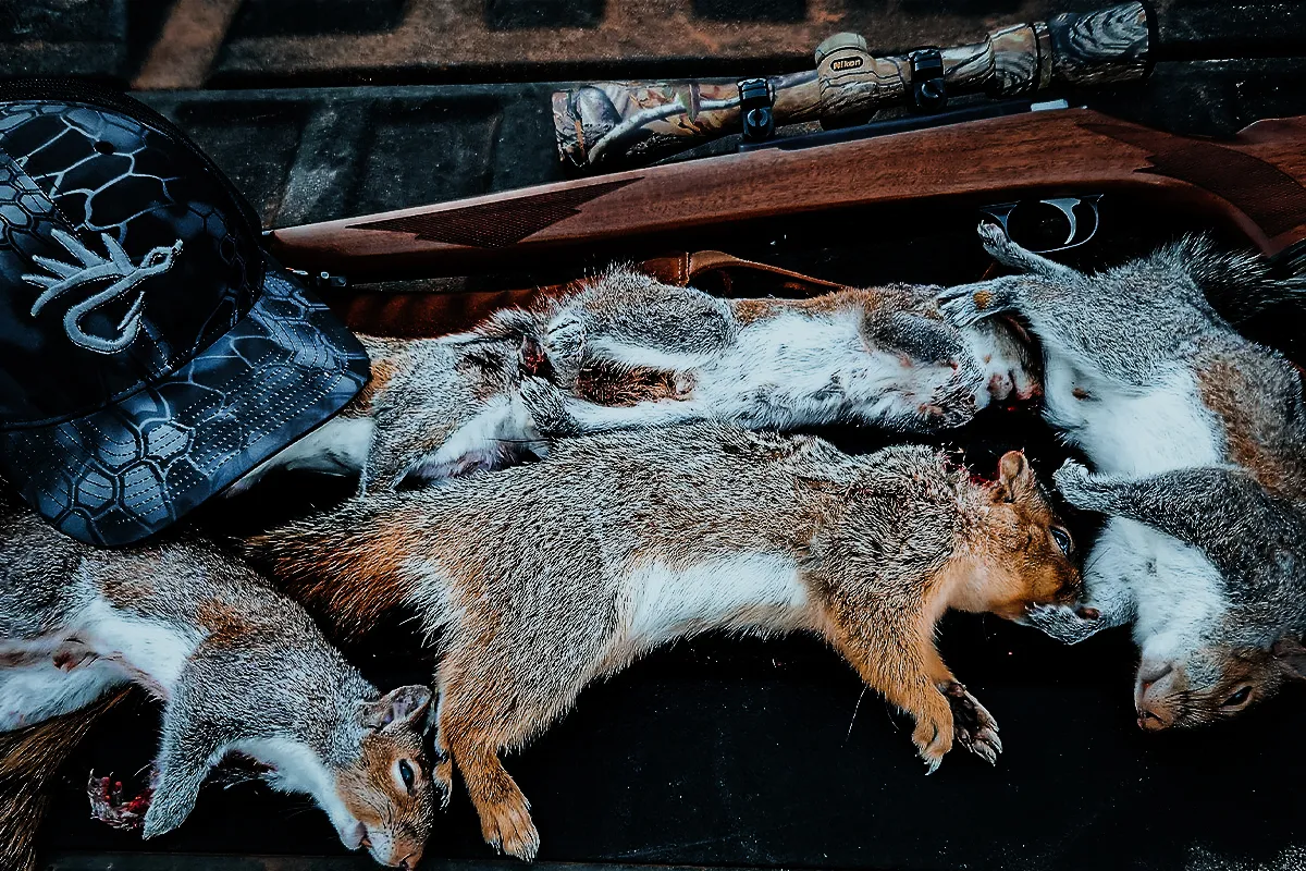 squirrel hunting