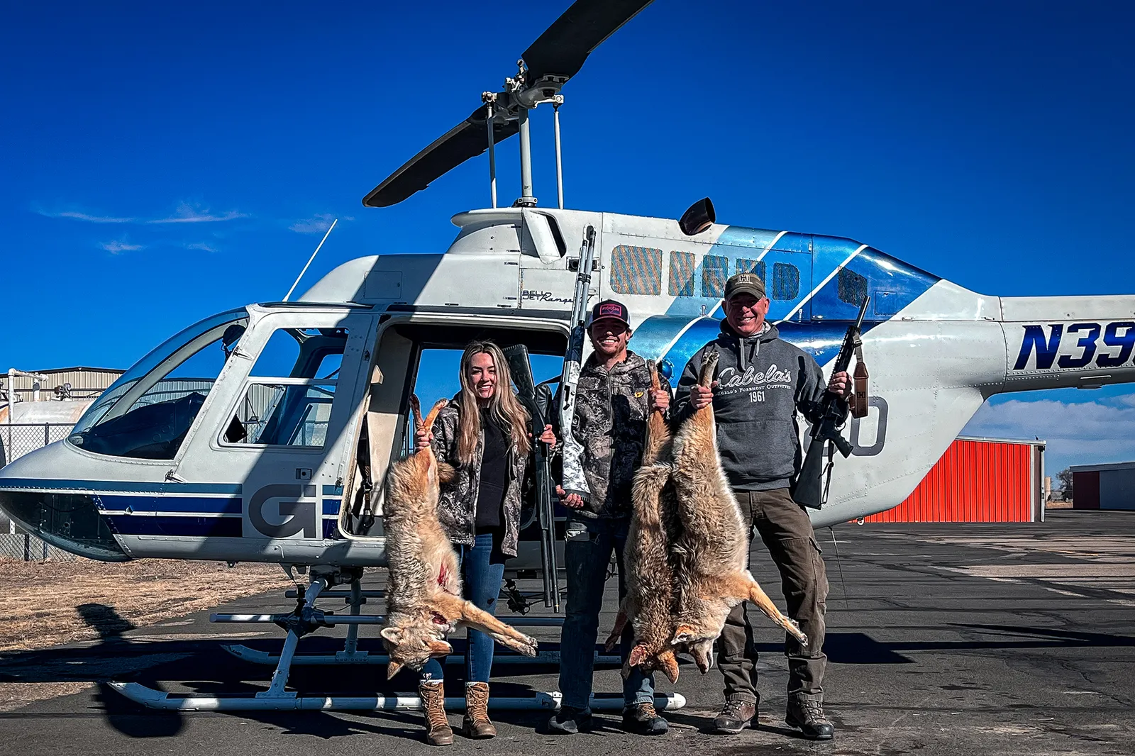 hunting coyotes