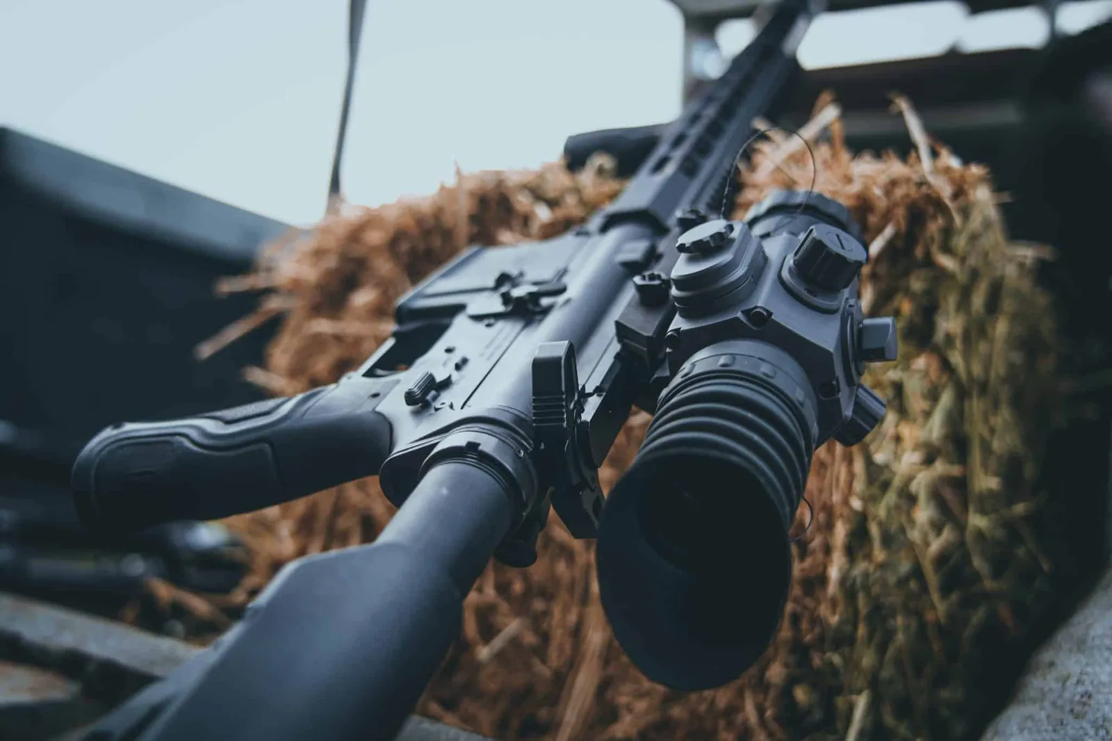hog hunting rifle