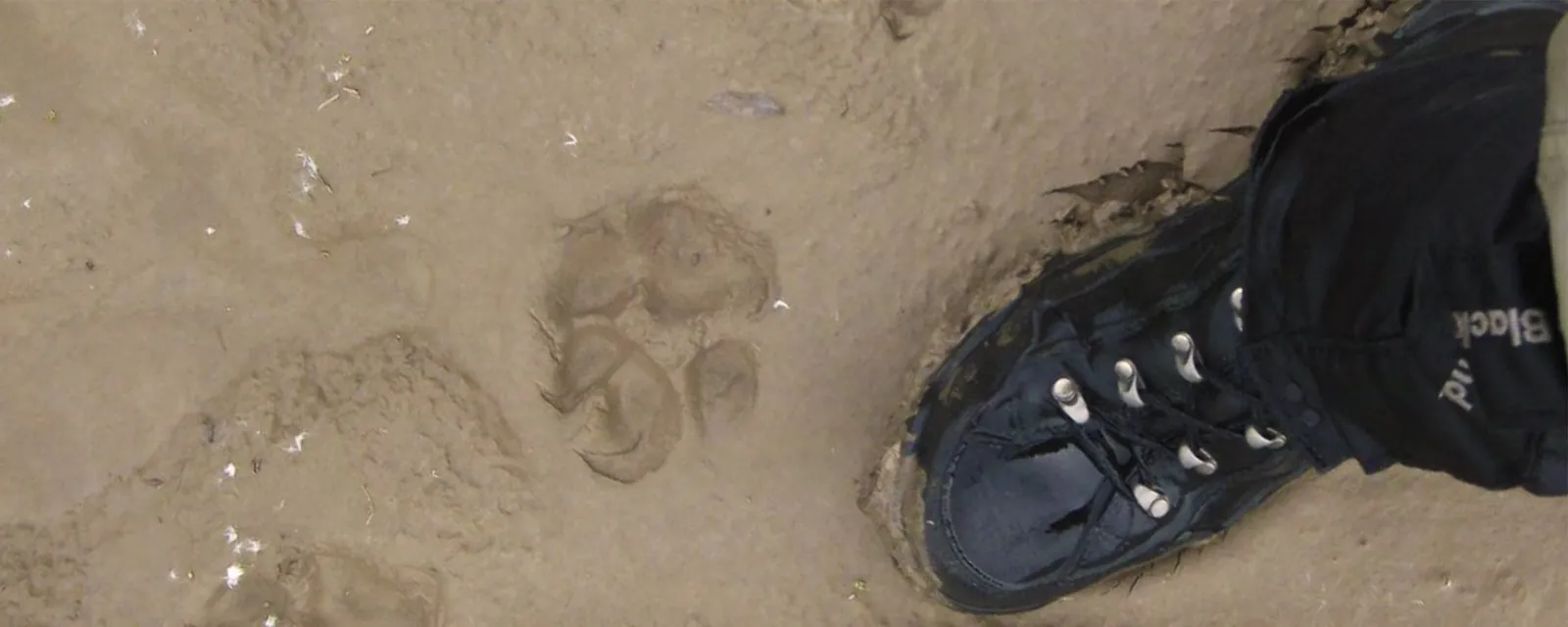 My Favorite Hiking Boots: Lowa Renegades