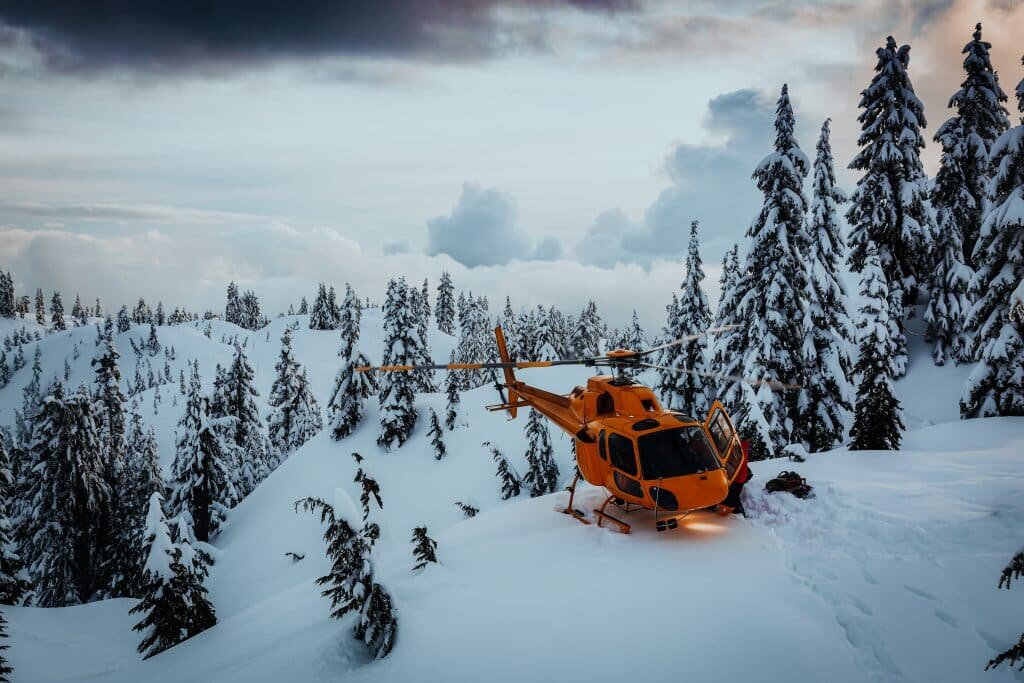 wilderness medicine