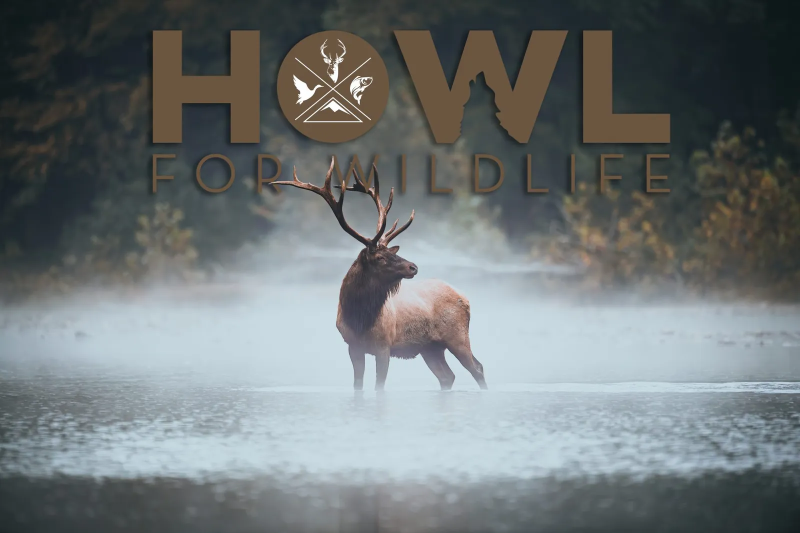 Howl for Wildlife