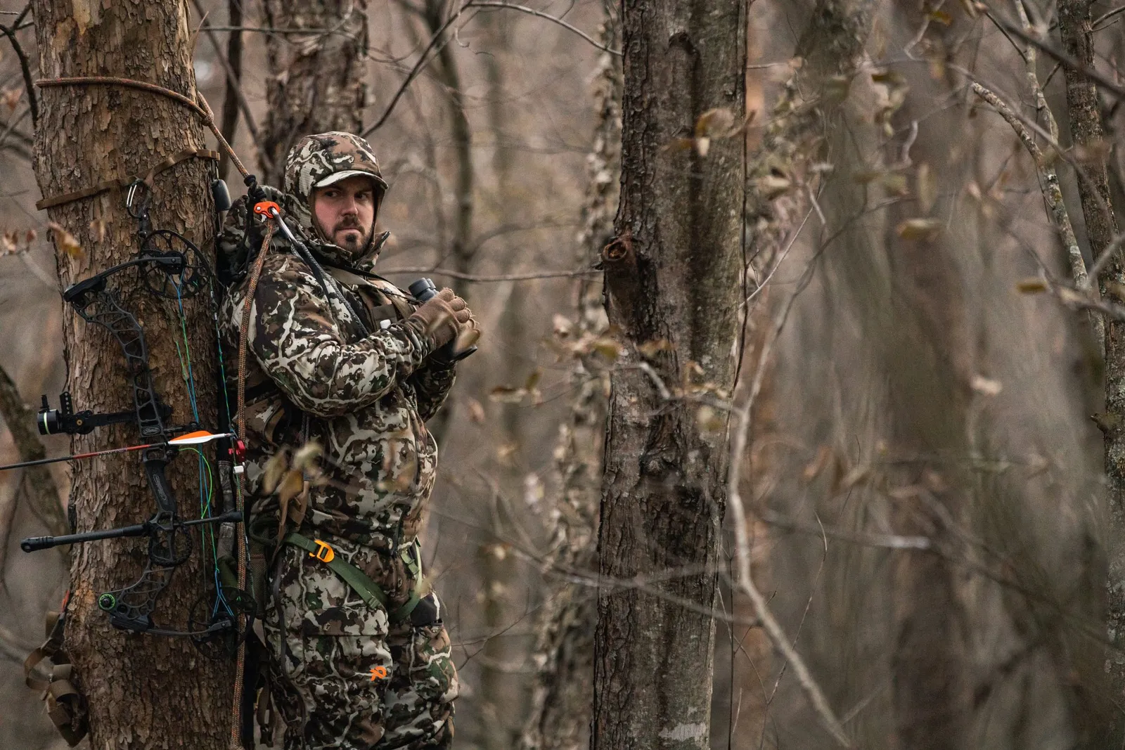 urban sportsman, bowman, hunter, whitetail, washington dc, urban hunting