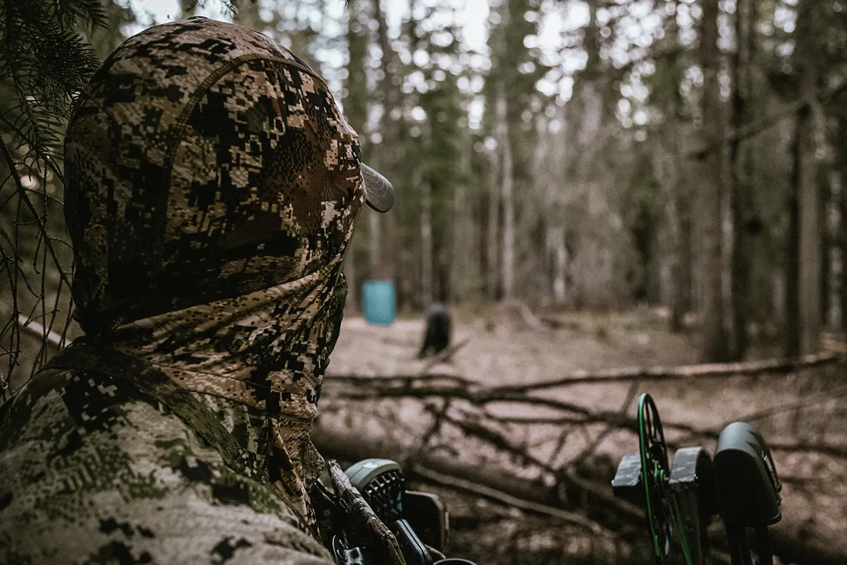 alberta bear hunting