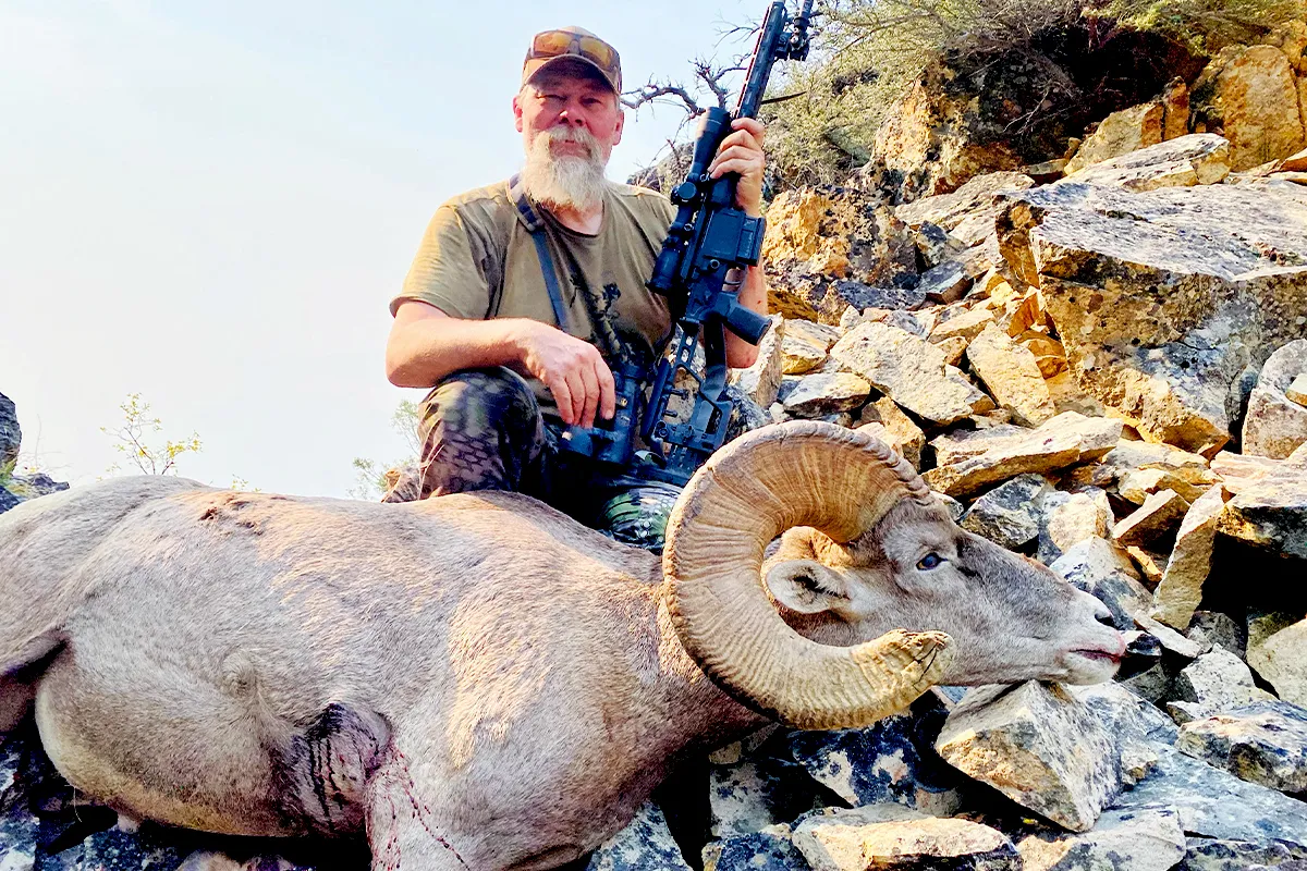 kyle lamb idaho bighorn sheep