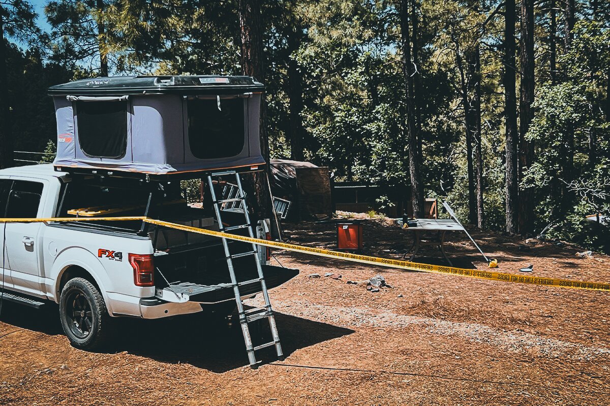 Arizona black bear attack