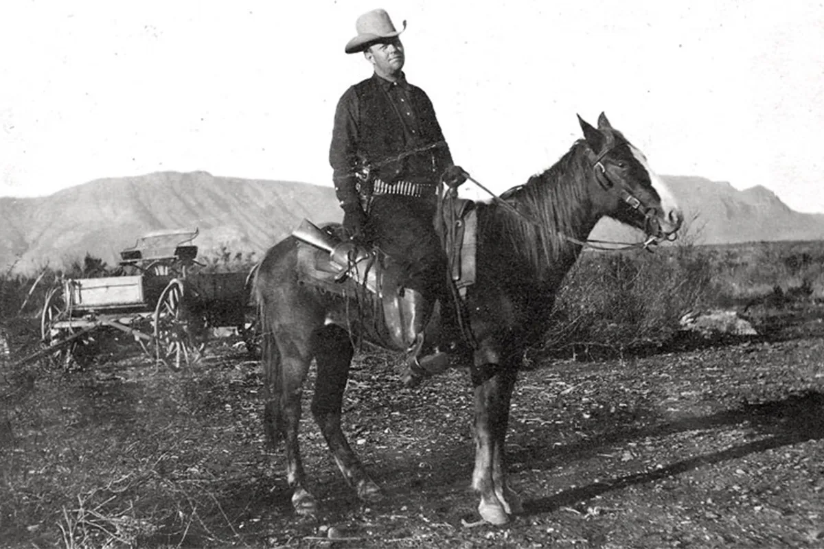 frank hamer