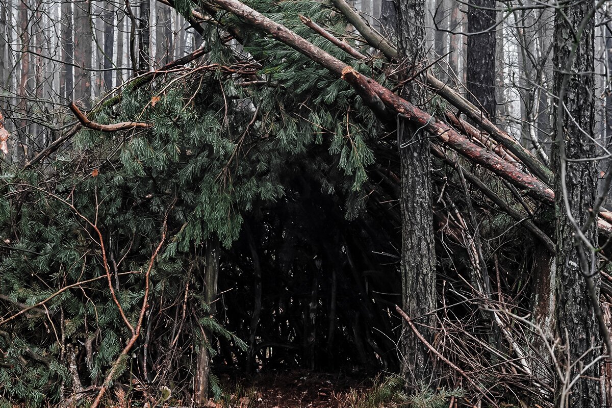 survival skills