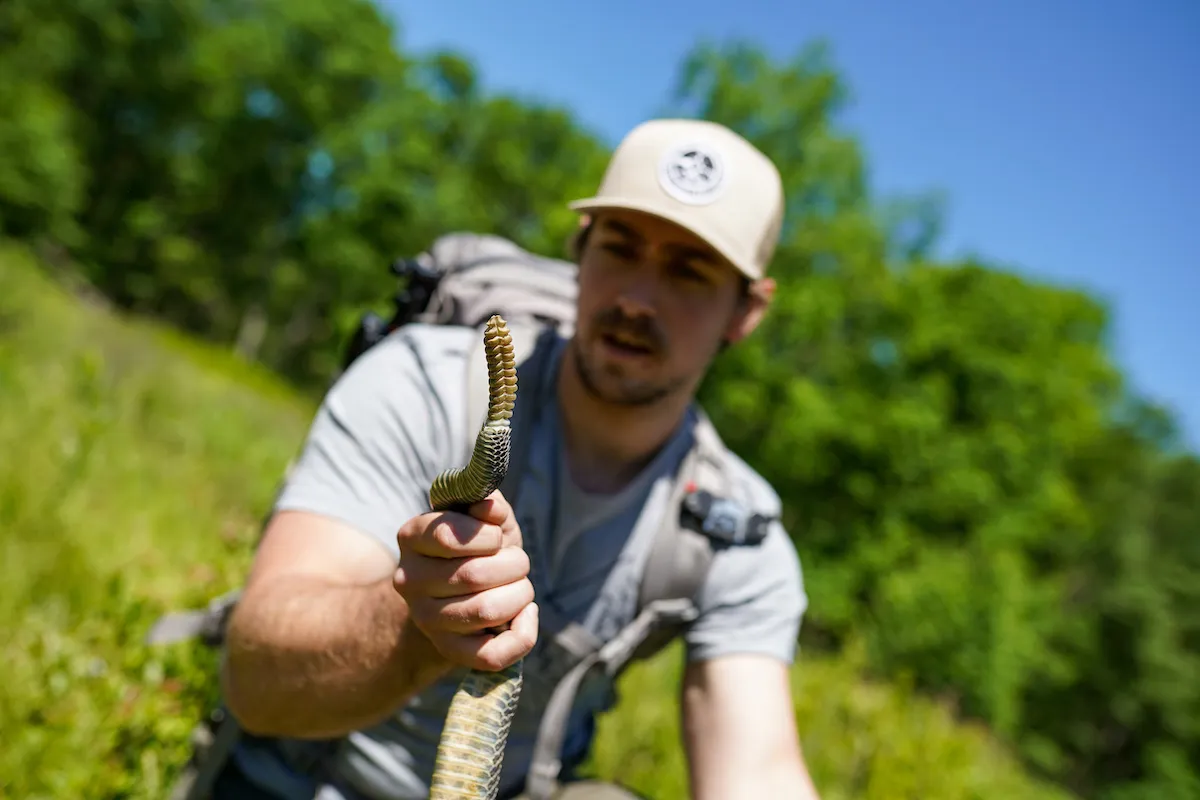Starter Kit: How To Hunt Rattlesnakes