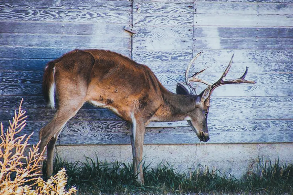 Kansas Department of Wildlife, Parks, and Tourism