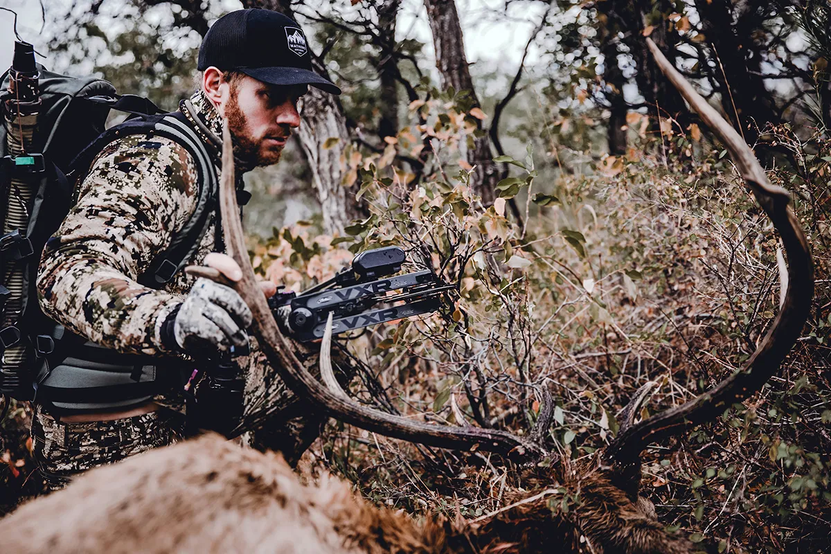 elk hunting success