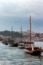 Boat Tours