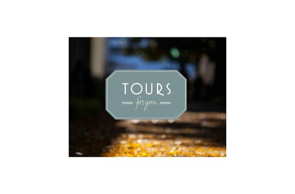 tours for you partner travel agency