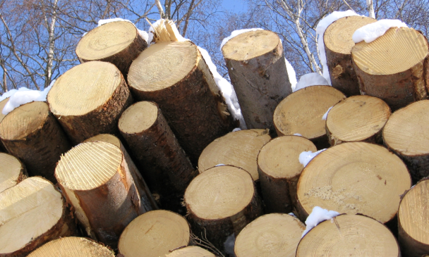 Stack of spruce lumber