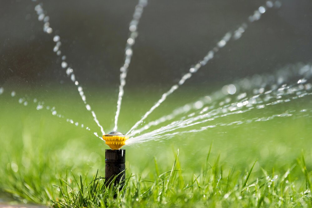 Lawn irrigation nozzle spraying water.