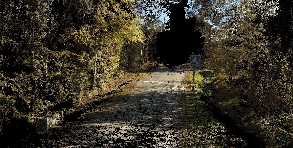 Tree-lined lane reconstructed as a 3D point cloud model by imajing