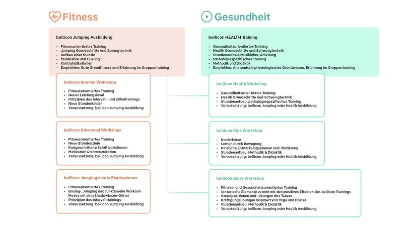A graphic illustrating the various offerings of the bellicon Academy.
