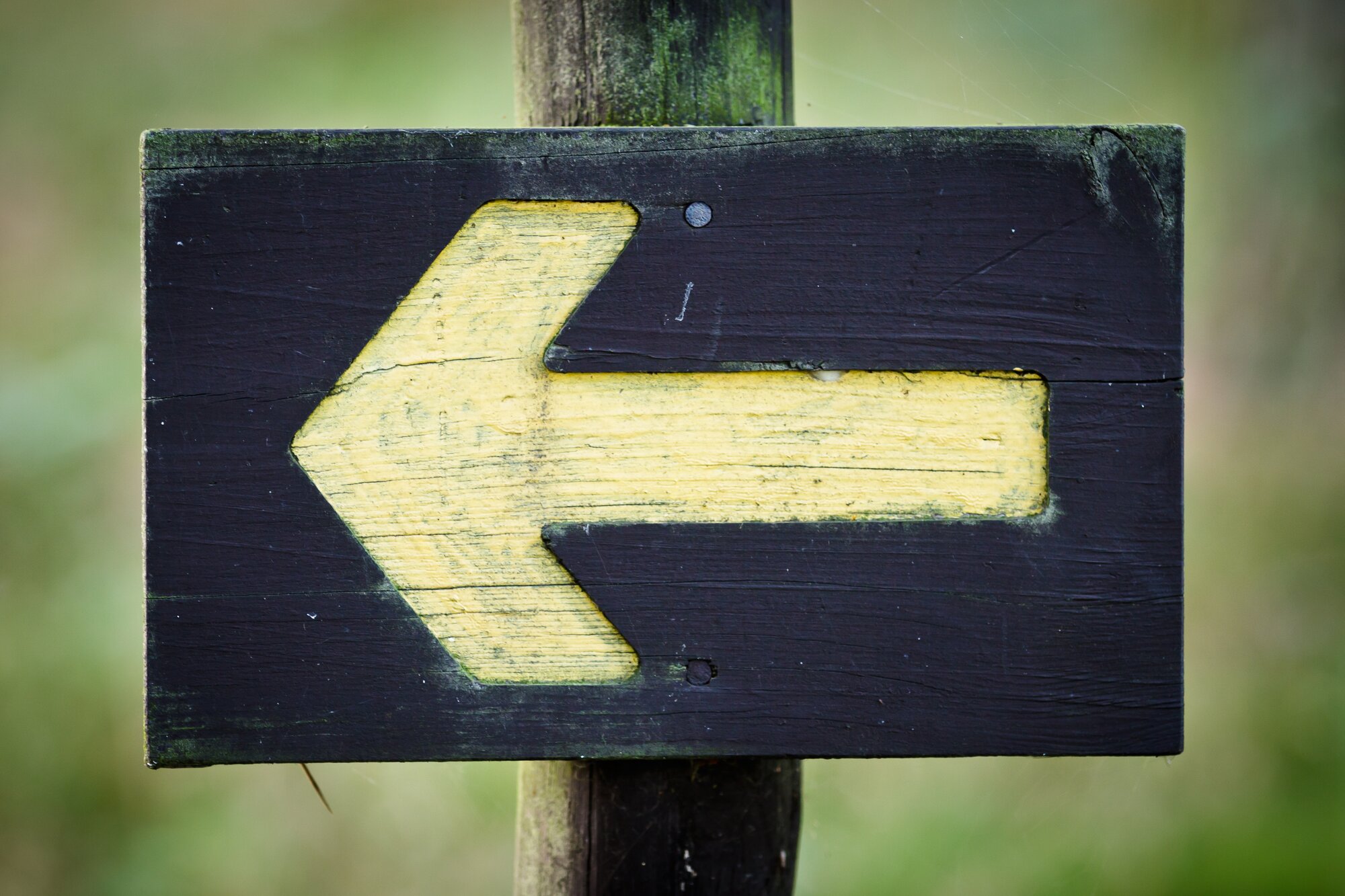 Use Shift Left QA to Save Money and Improve Release Quality | STAUFFER