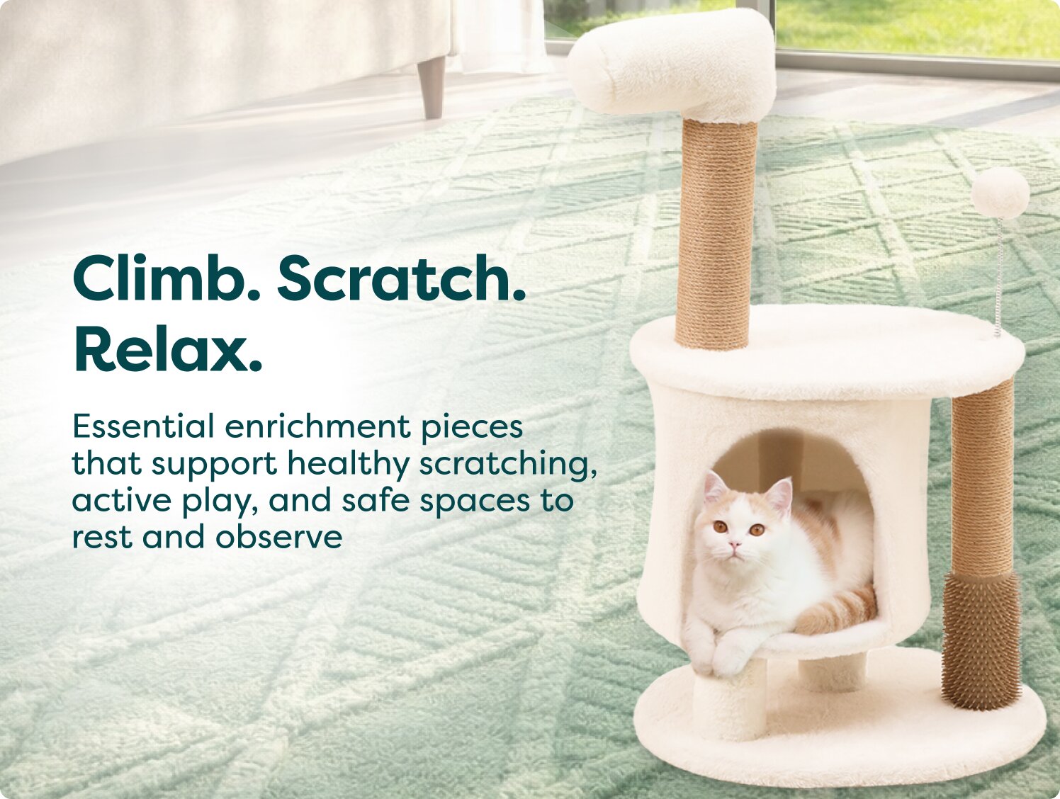 The ultimate Play Guide for cats | Pet Circle