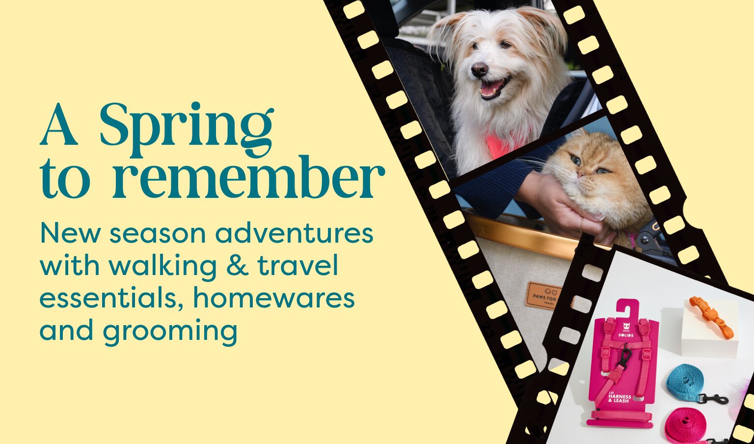 Shop Spring 2025 | Australia’s #1 Pet Store | Pet Circle
