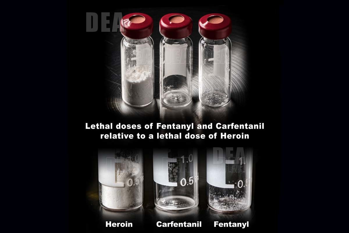 The Opioid Epidemic: Why Fentanyl Kills So Many Americans