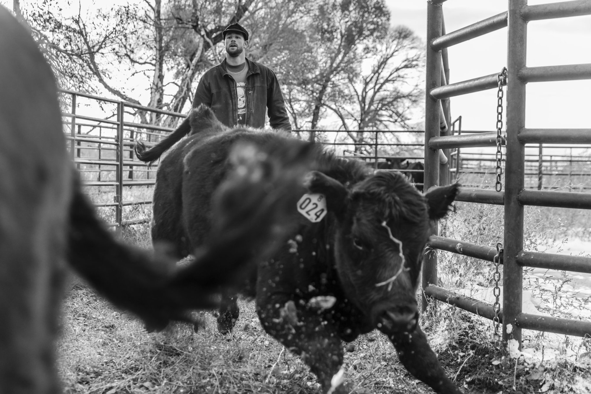 One Marine Corps Veteran’s Struggle to Keep His Family’s Ranch Alive