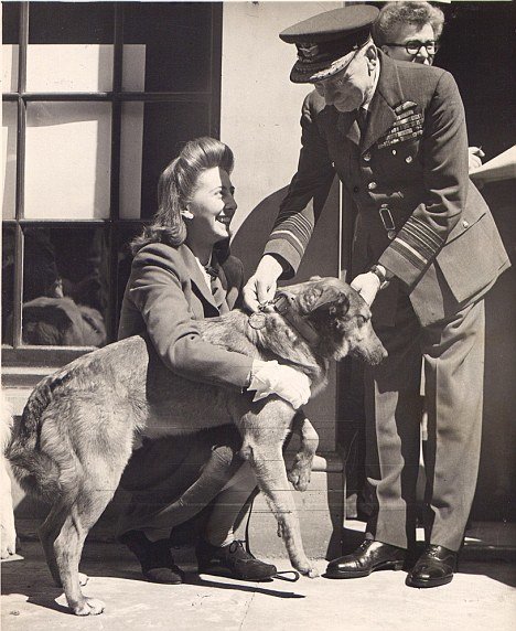 World War II Paradogs: The Dogs Who Jumped on D-Day | Coffee or Die