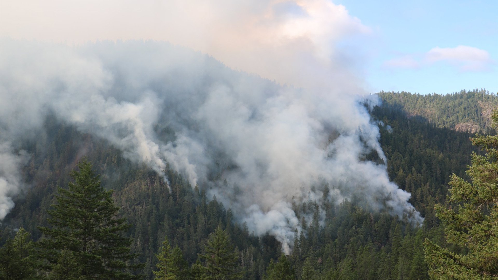 Rum Creek Blaze Claims Life Of Beloved Oregon Firefighter