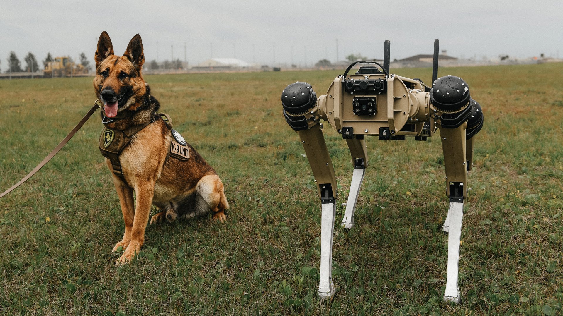 Man's Best Friend Firefighter and Warfighter Robot Dogs