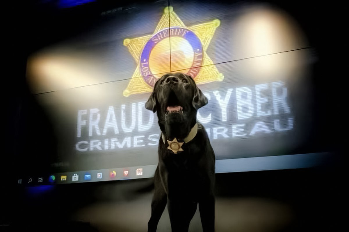 Los Angeles Sheriff’s Newest K9 Takes a Bite Out of Digital Crime