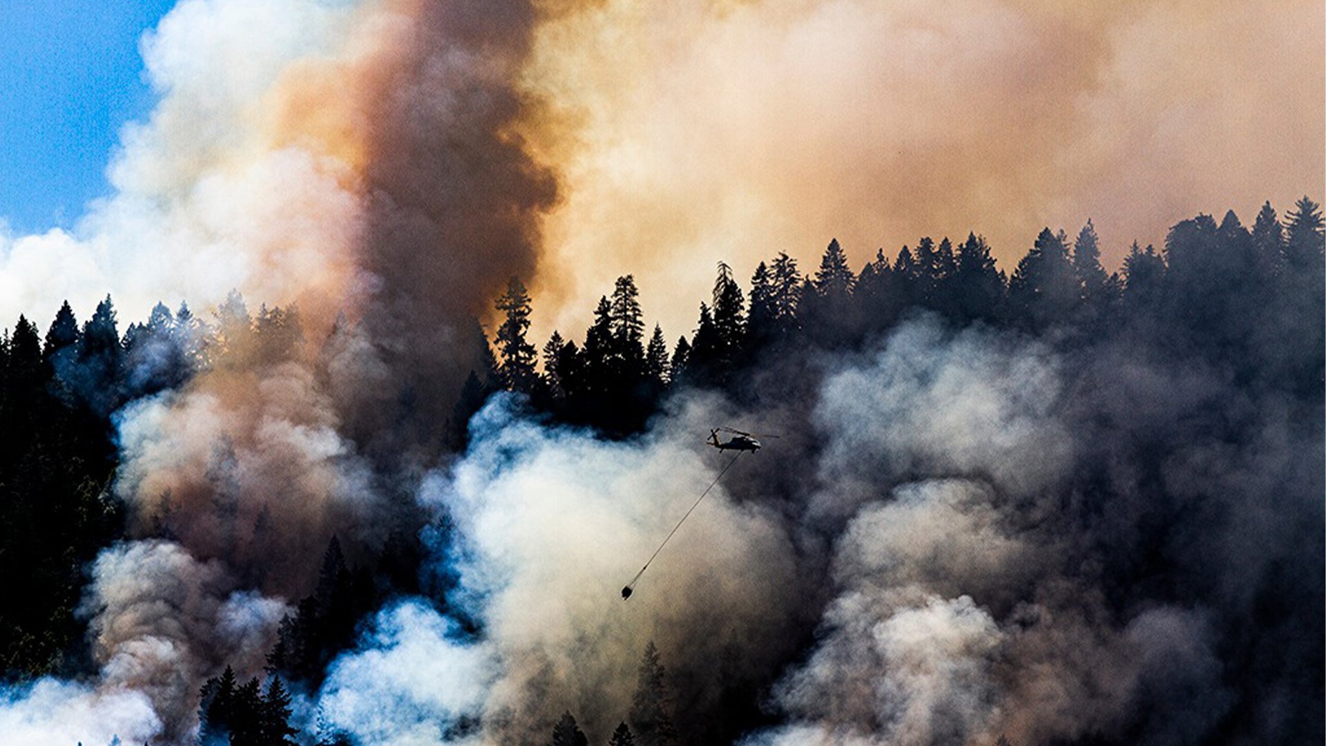 Rum Creek Blaze Claims Life of Beloved Oregon Firefighter