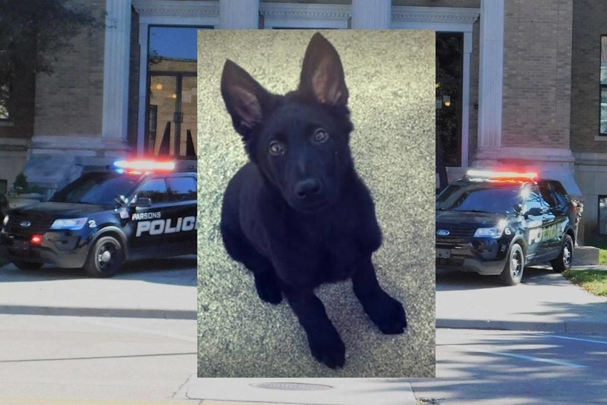 Kansas Police Officer’s Puppy Decapitated, Authorities Offer Reward for(02)