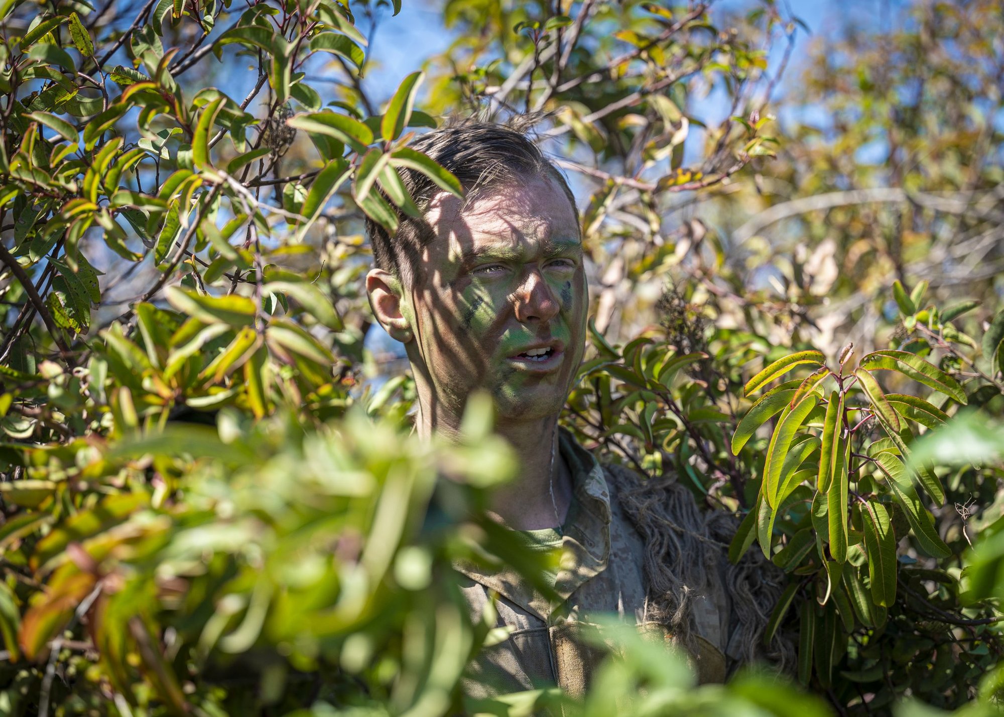 With New Recon Sniper Course, Marines Seek To Make More Elite Snipers ...