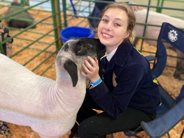 Show Lamb Tips: Feeding, Grooming & Training – April 9, 2025 – Wilco ...