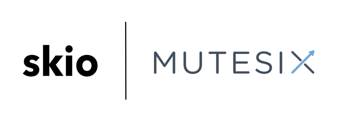 MuteSix Field Guide How to Unlock Your Brand’s Optimal Ad Strategy Skio