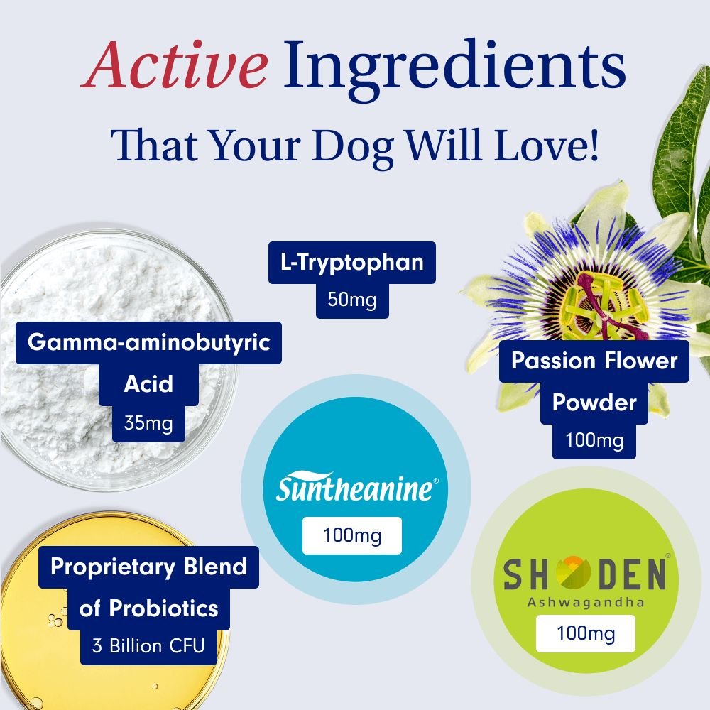 Calming Chew For Dogs NonDrowsy PetLab Co.