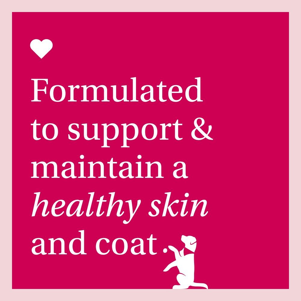 Dog Itch Relief Chew Pro Supports Skin Health PetLab Co.