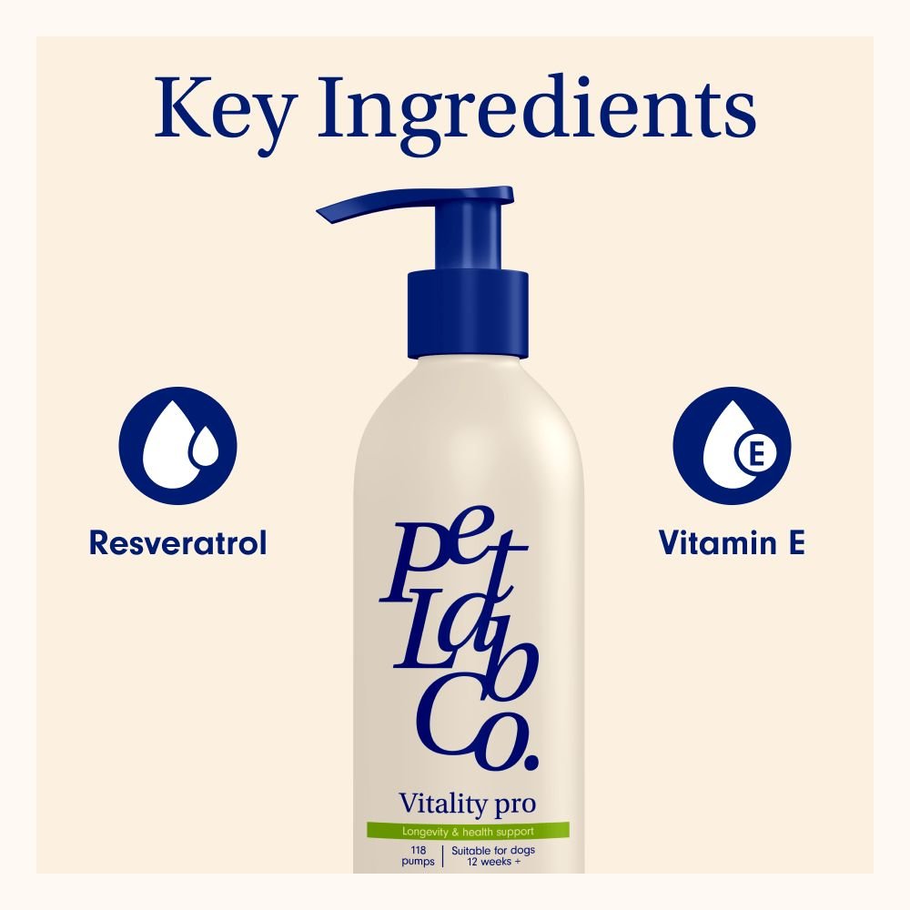 Vitality Pro Dog Resveratrol Supplement Senior Dog Vitamins