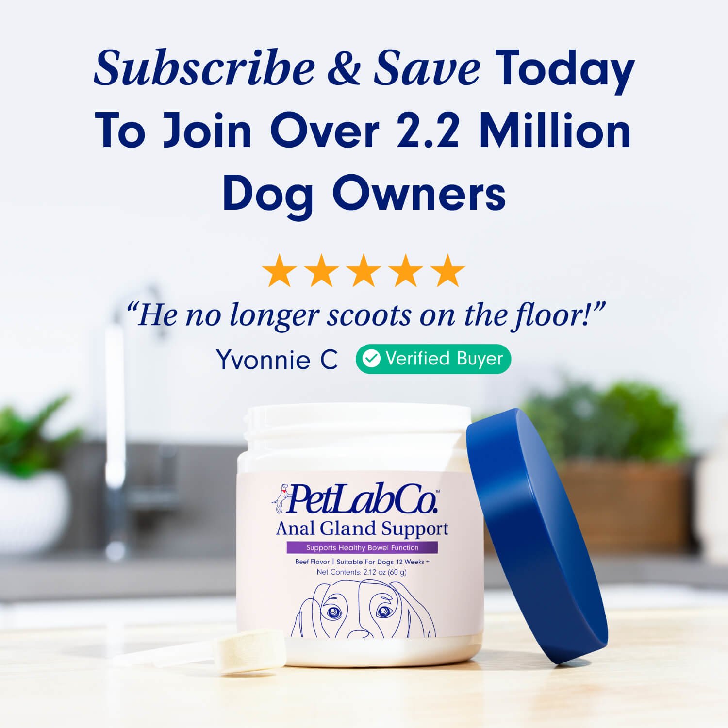 Anal Gland Support For Dogs Anal Gland Health PetLab Co.