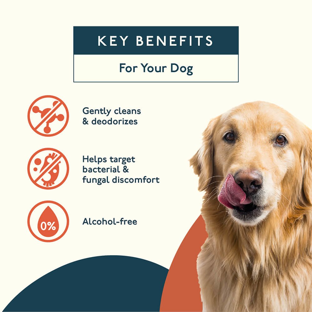 Dog Ear Cleaner Safe Cleaning Solution For Home Use